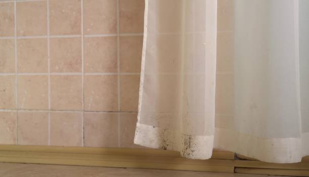 Best Real Estate Mold Inspection  in Rainbow Springs, FL